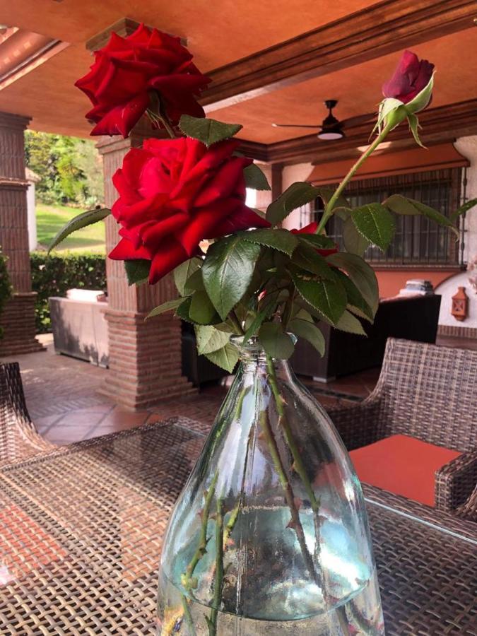 Authentic Andalucia Villa มาร์เบยา ภายนอก รูปภาพ